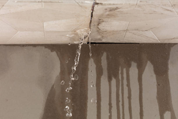 Professional Water Damage Repair technician working in Walker, MI